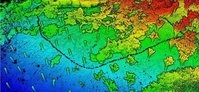 激光雷达林业数据