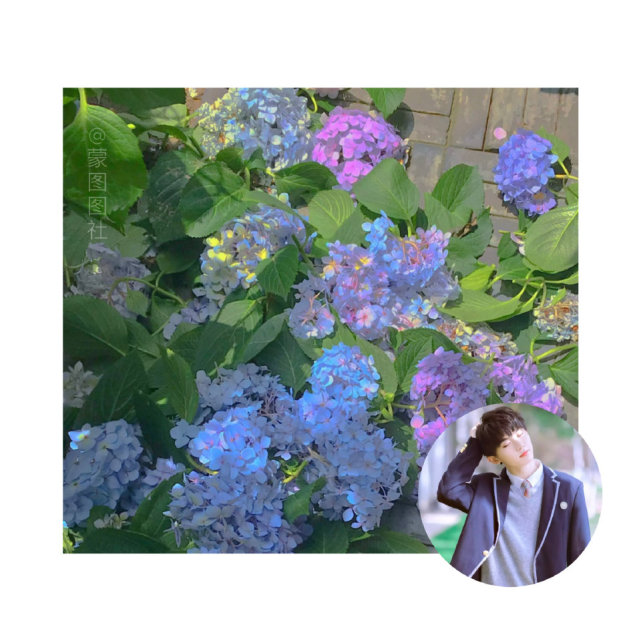 马嘉祺头像背景图分享二