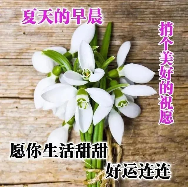 早上好朋友清晨早安問候圖片祝福經典語句夏天早上好唯美問候語圖片