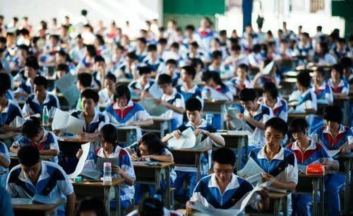 素质教育还是应试教育白岩松没有高考你拼得过富二代吗