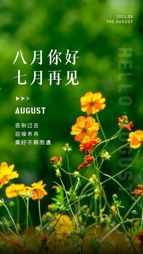 八月你好配图图片大全,八月图片简单带字,8月朋友圈文案句子_腾讯新闻
