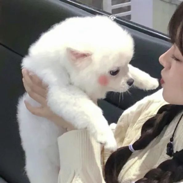 情头丨情侣头像