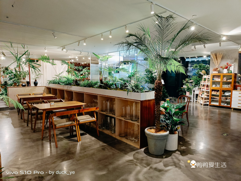 厦门华美空间藏一个绝美拍照地,误入仙境,可吃饭可拍照可看书!