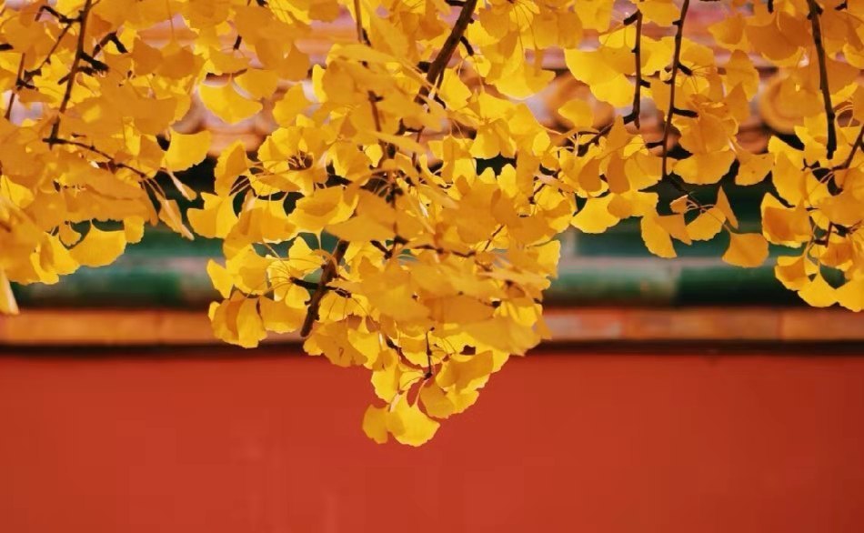 何处合成愁 离人心上秋 带你领略古人不同的愁 腾讯新闻