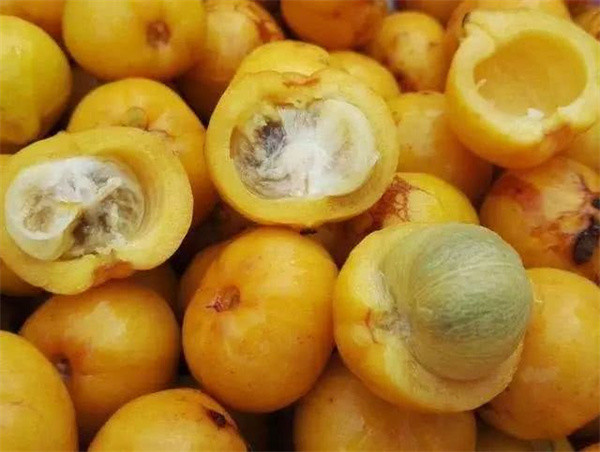 酷似山竹人称黄牙果儿时爱吃果肉如今果皮腌制受热捧