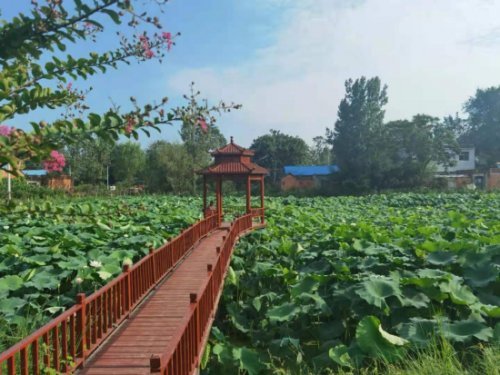 唐河县古城乡打造美丽乡村新画卷村民幸福指数大提升