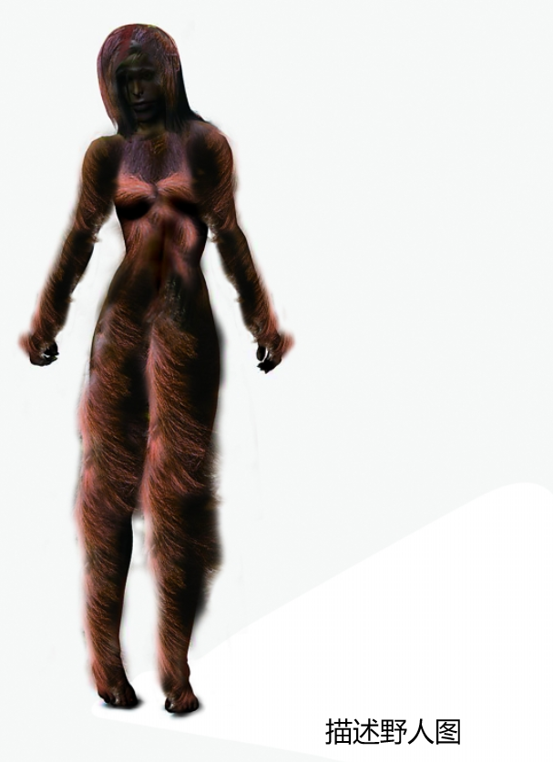 "中国版"的亚马逊!为何神农架被称为禁区,深处不被允许前往?