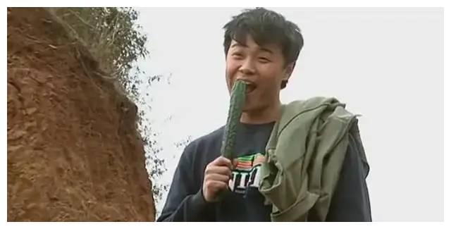 近20年评分最高十部电视剧潜伏第8第一是国产剧天花板