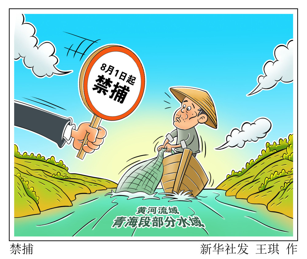 图表漫画环境禁捕