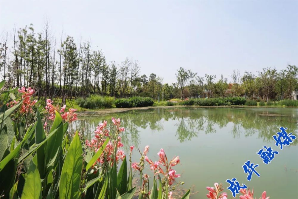 这湖,有一个好听的名字:瑶溪湖.