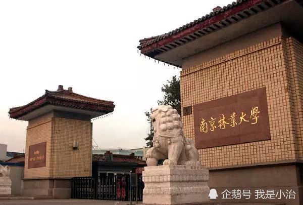 中国大学面积最小排行_全国面积“最小”的大学排行榜TOP10