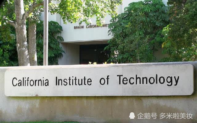 她是知名美女博士 专业能力不输男生 被称为 科研妲己 今天新闻 晶创资讯网