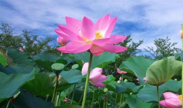 以下6个日子出生的人,看看你是否有仙根儿