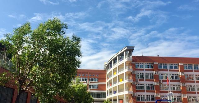 高考十大教辅书排行榜_河南最好的十大高中排名,2个县级高中上榜