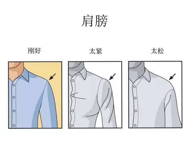 如果衬衫的肩线刚好在肩膀的顶端,那就是合身的,如果太紧了就会绷得很