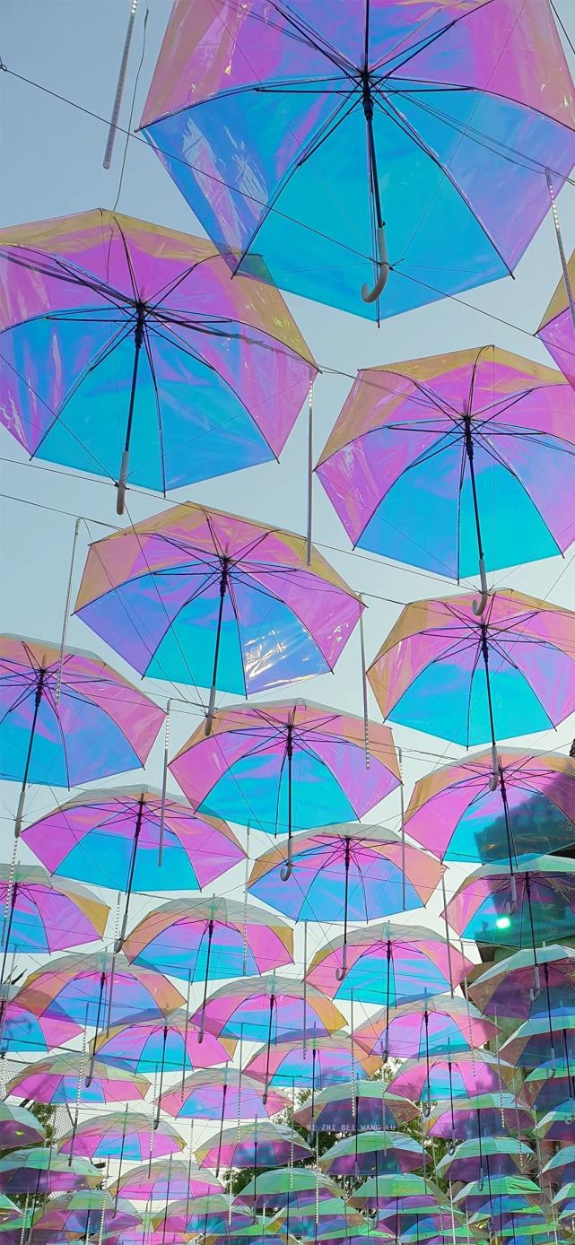 wan|壁纸|七彩伞