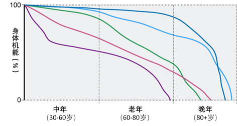 人一生的身体变化图图片