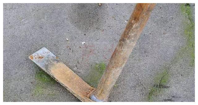 一对"老实巴交"的陕西农民夫妇,连害48人,掘尸现场仿如临潼兵马俑