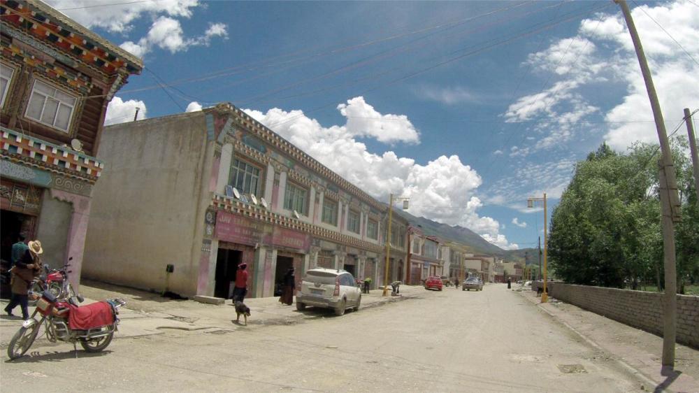 洛须枸杞(枸杞蔍须芝捛须参)