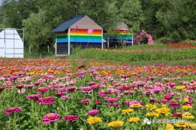 【乡村振兴示范村】和政县城关镇咀头村:美丽乡村带来美丽经济