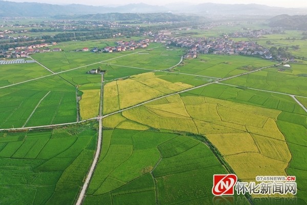 溆浦县桥江镇堰塘村乡村风光(张微渺 摄)