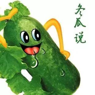 夏季,我们爱吃冬瓜!