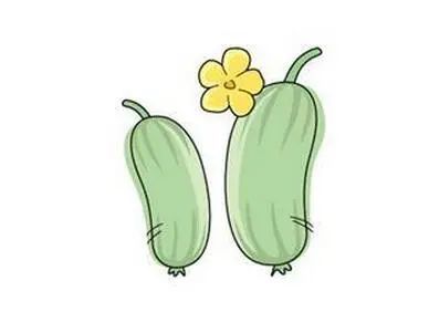 夏季我们爱吃冬瓜