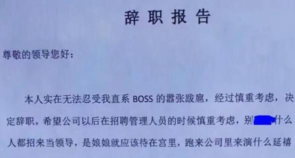 00后的辞职报告 万图壁纸网