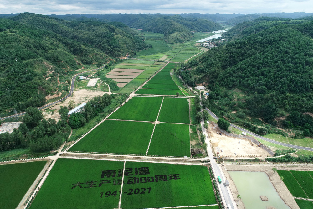 南泥湾:"生态革命"营造更美"江南"