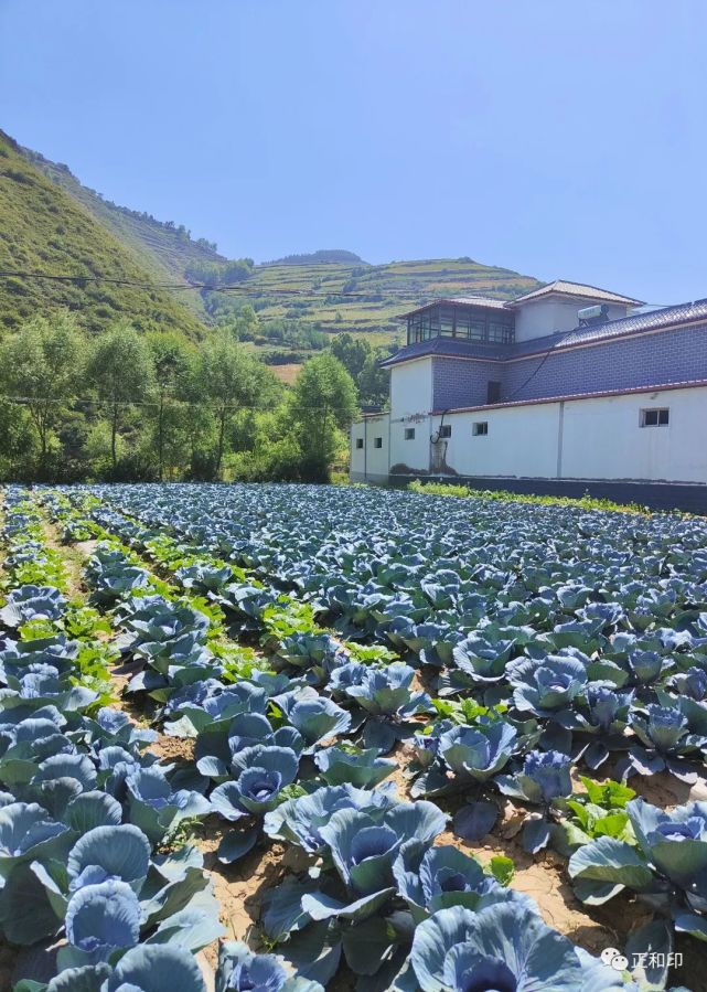 深山老林人家,逸 翁官灘溝-避暑官灘溝景區,位於甘肅蘭州市榆中縣和平