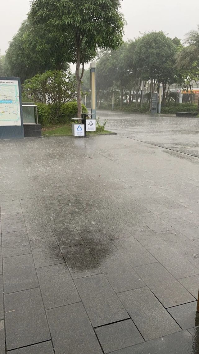 你被雨淋到了吗?