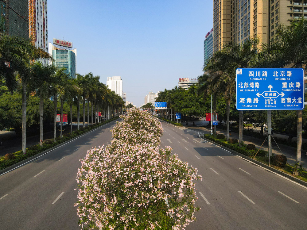 盤點北海市最美的十條城市道路讓你徹底愛上北海