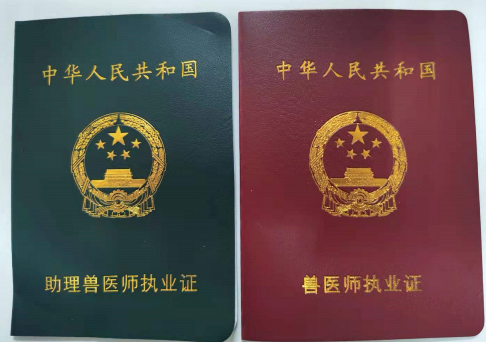 重大利好执业兽医业务办理仅需网上备案即可