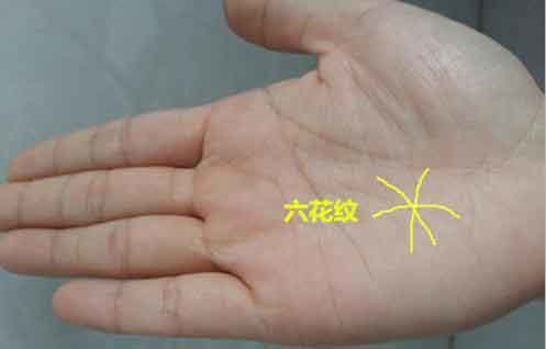 4,六花纹的图形手掌之上,三条细纹相交于一点,形成