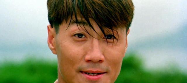 这样的设计我的理解是,林国斌年纪大了,打不动了,所以安排的动作戏份