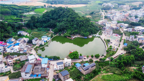 来宾网--来宾日报讯(记者 李冠才 文/图)近日,记者走进象州县马坪镇大