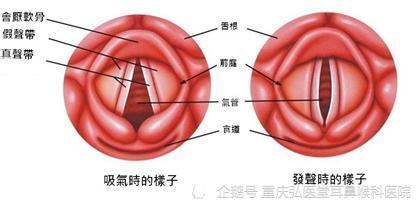 重慶弘醫堂耳鼻喉醫院講解聲帶息肉可以用激光來治療嗎