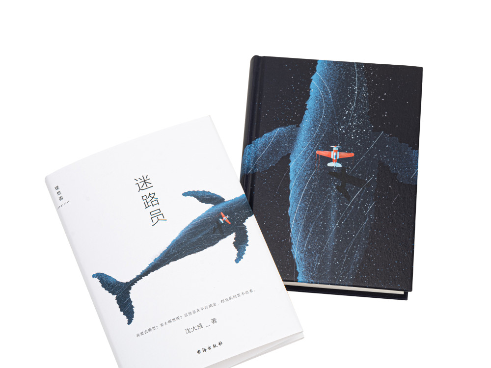 作家,评论家唐诺为《迷路员》手写数百字推荐语:"……沈大成的想象