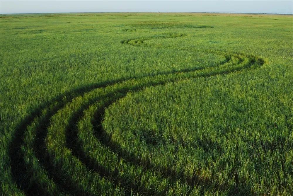 向海蒙古族乡向海村