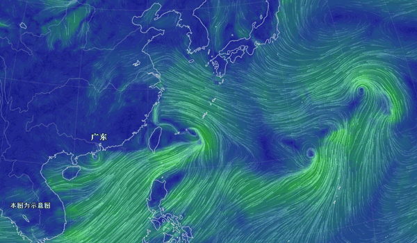 颱風預警信號|熱帶低壓|熱帶風暴級|颱風|盧碧|暴雨