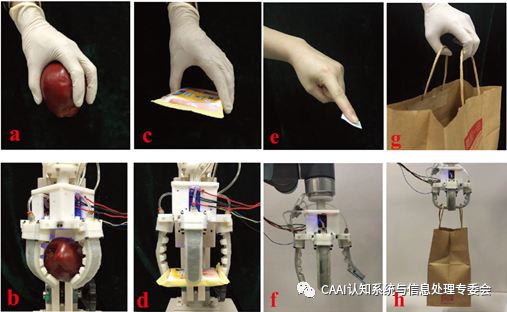前沿softrobotics论文分享多模式抓取能力的变刚度软体手