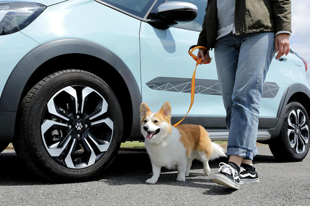 太可爱了——本田推出狗狗友好汽车配件