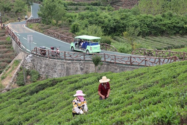 河南这些村,镇入选全国乡村旅游重点村,镇(乡,快看有你家乡不