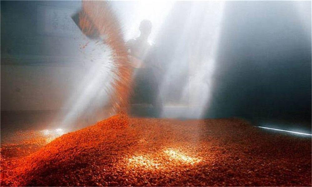 酿酒技术-您在酿酒时会注意到这些要点吗?