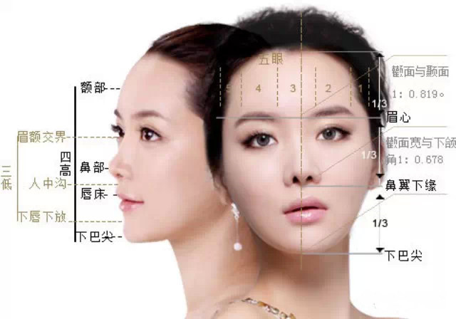 鹅蛋脸和瓜子脸有啥区别看懂这三个细节区别一目了然