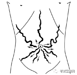 直肠指检2 腹部检查:腹部暴露范围;腹壁静脉曲张1.