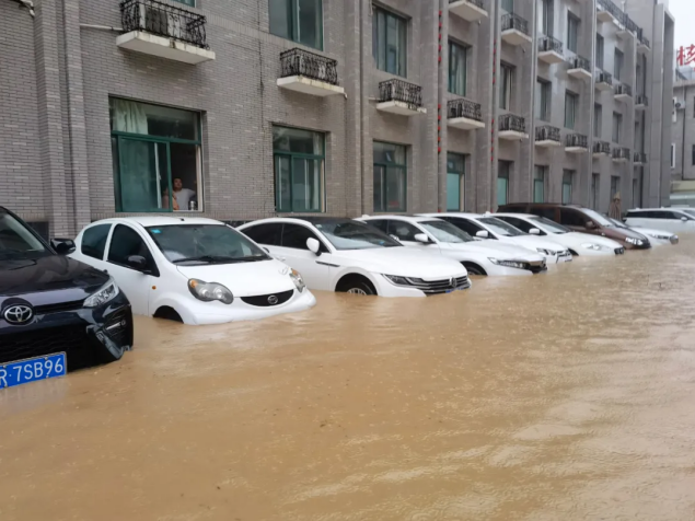 郑州大学暴雨图片