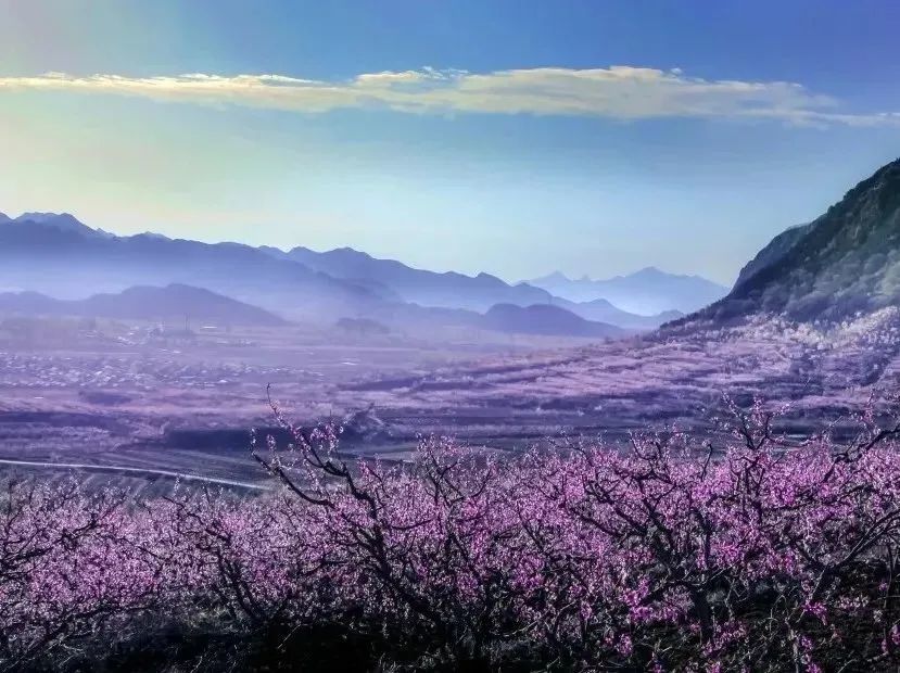 平谷融媒此外,在构建网红打卡地方面,平谷区将围绕泃洳河,桃花海,北寨