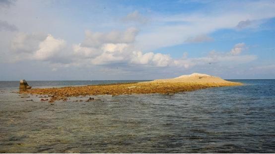 图为琼台礁最近有消息称中国在南海发现了一个大聚宝盆,南海的南部有