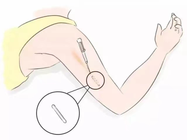 腾讯网